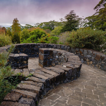 Blue Mountains Botanic Garden, Mount Tomah,  teacher